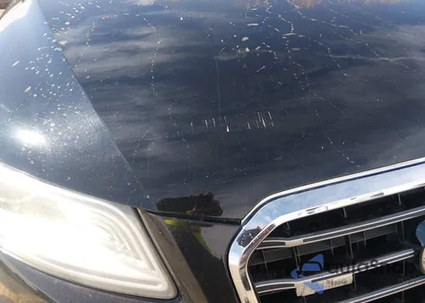 2013 Audi Q5 3.0T Premium Plus z USA, uszkodzony, nr VIN WA1DGAFP6DA073942